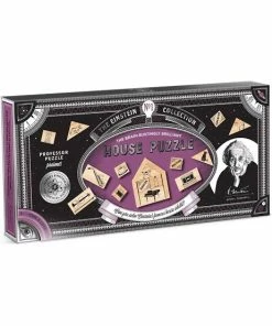 EINSTEIN'S HOUSE PUZZLE